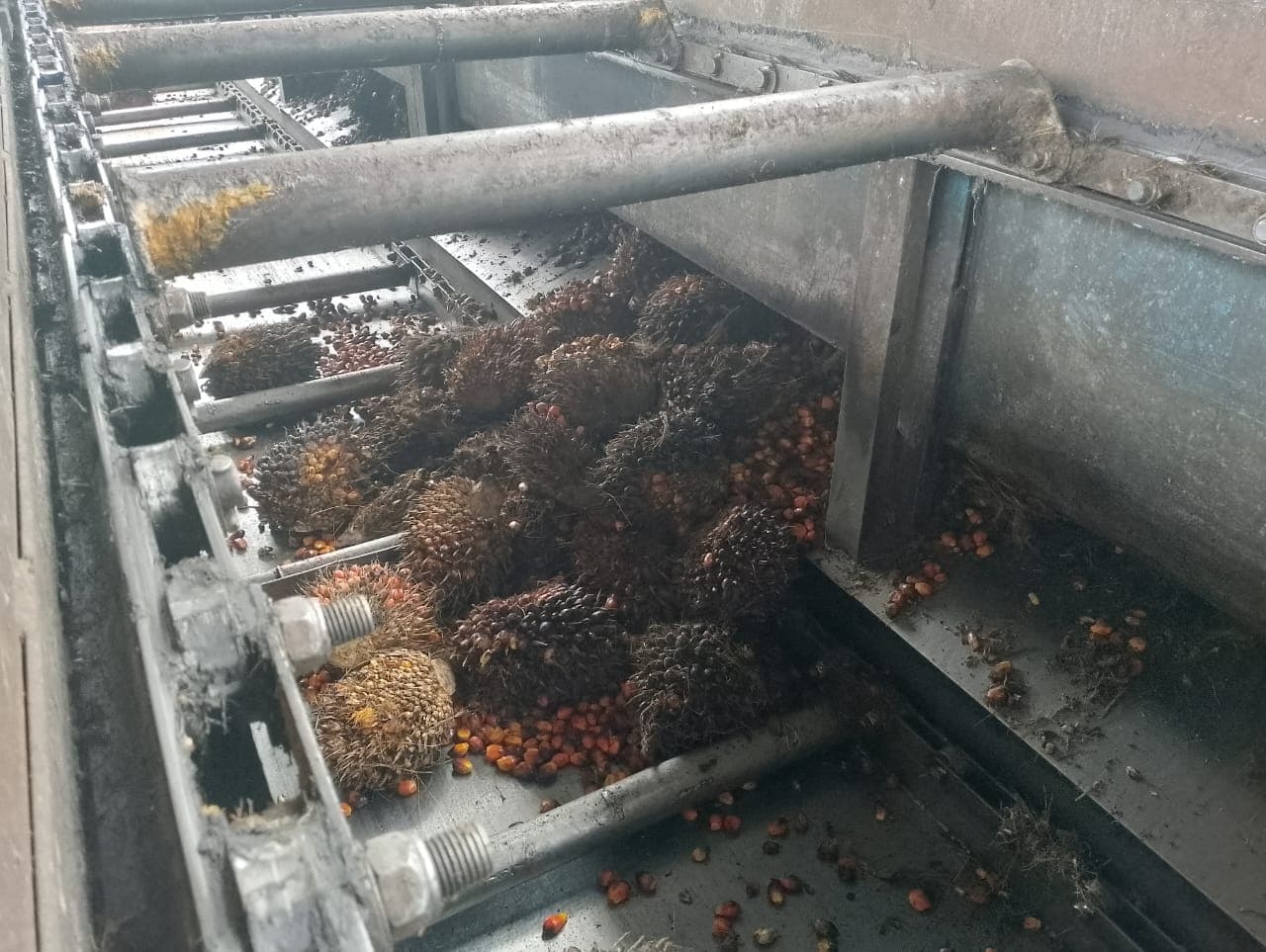 Kunjungan Pabrik